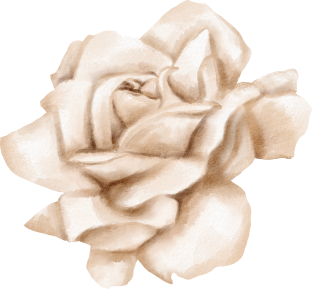 beige rose water color